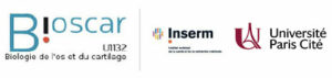 Logo Bioscar avec partenaires Inserm et Université Paris Cité